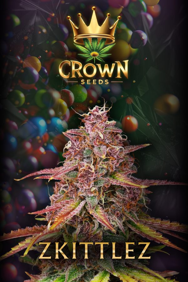 Crown Zkittlez feminisiert - 3 Samen -